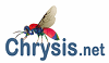 Chrysis.net - La tua risorsa su Imenotteri Crisidi e Macrofotografia