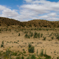 Ci addentriamo nell'interno su suggerimento di Zdeno Lucbauer, anche lui in Marocco nello stesso periodo