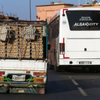 Trasporto di uova